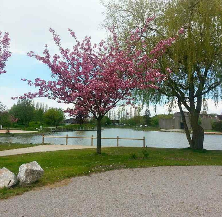 Parc Urbain Lomme