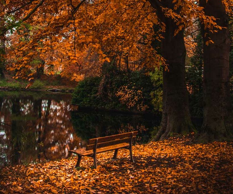 Parcs et jardins métropole de lille
