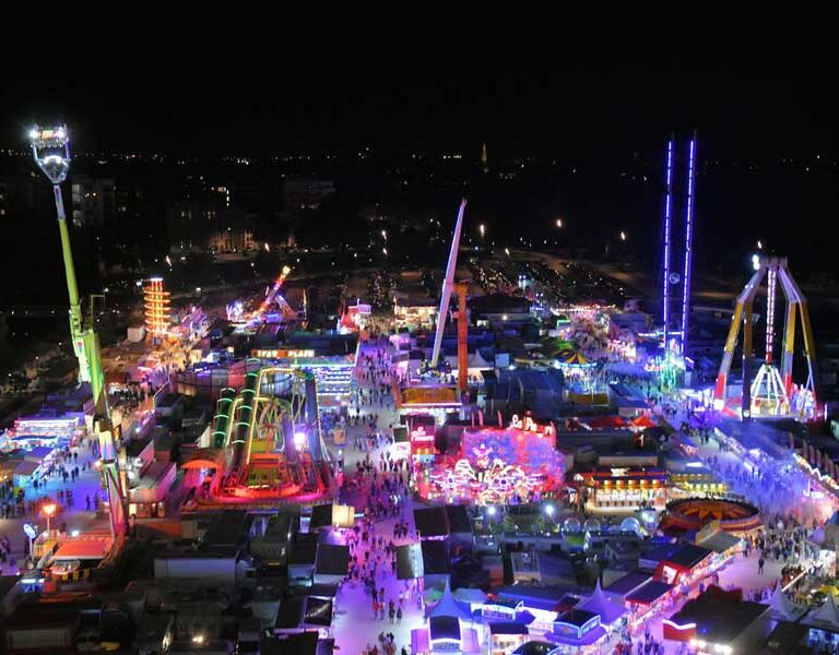 que faire à lille en août ? foire aux manèges