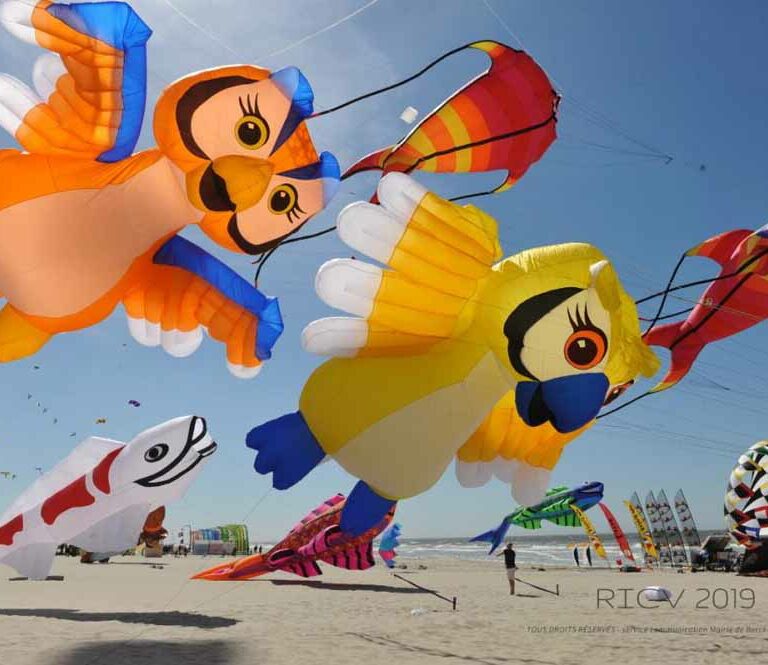 Rencontres Internationales de Cerfs-Volants 2026 à Berck, dans la région de Lille