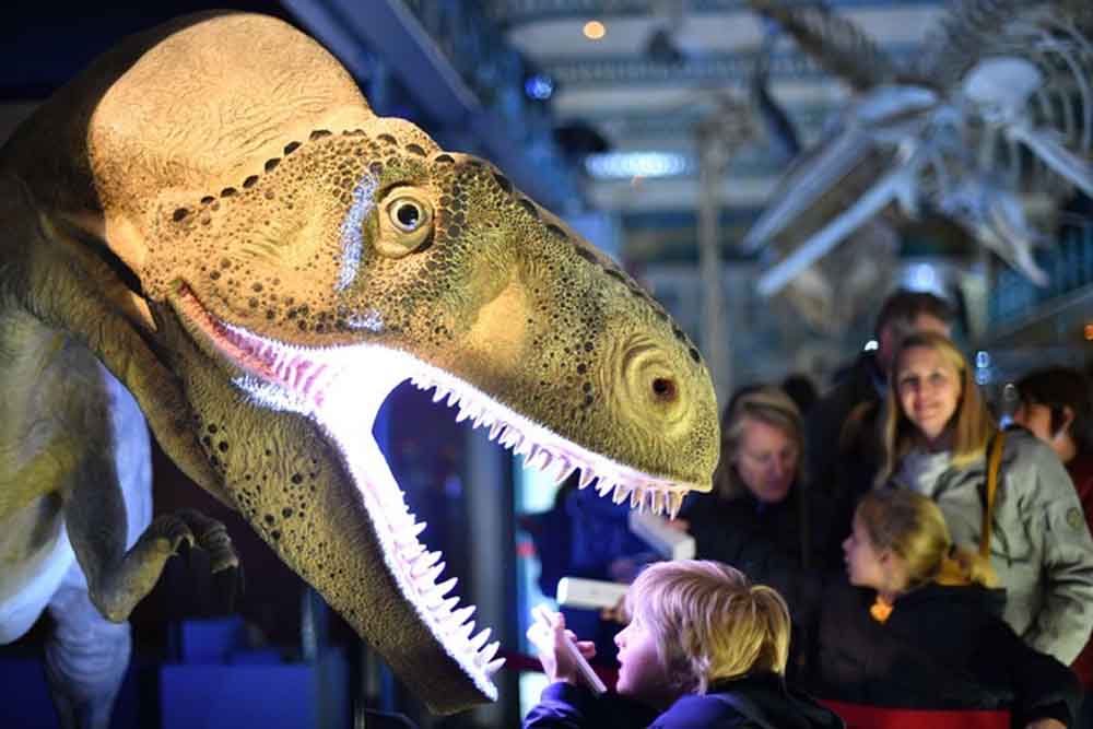 Que faire à Lille ce week-end ? La nuit des musées.