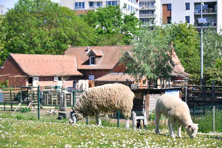 fermepedagogique juin22 news image top