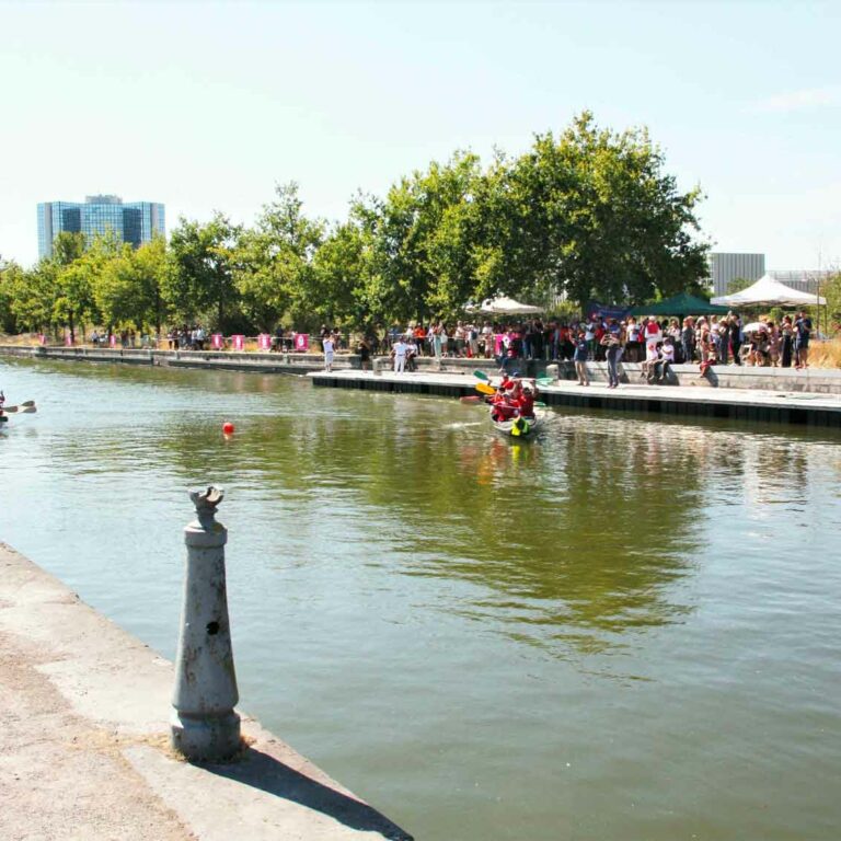 Que faire à Lille du 24 au 28 juillet 2024 ?