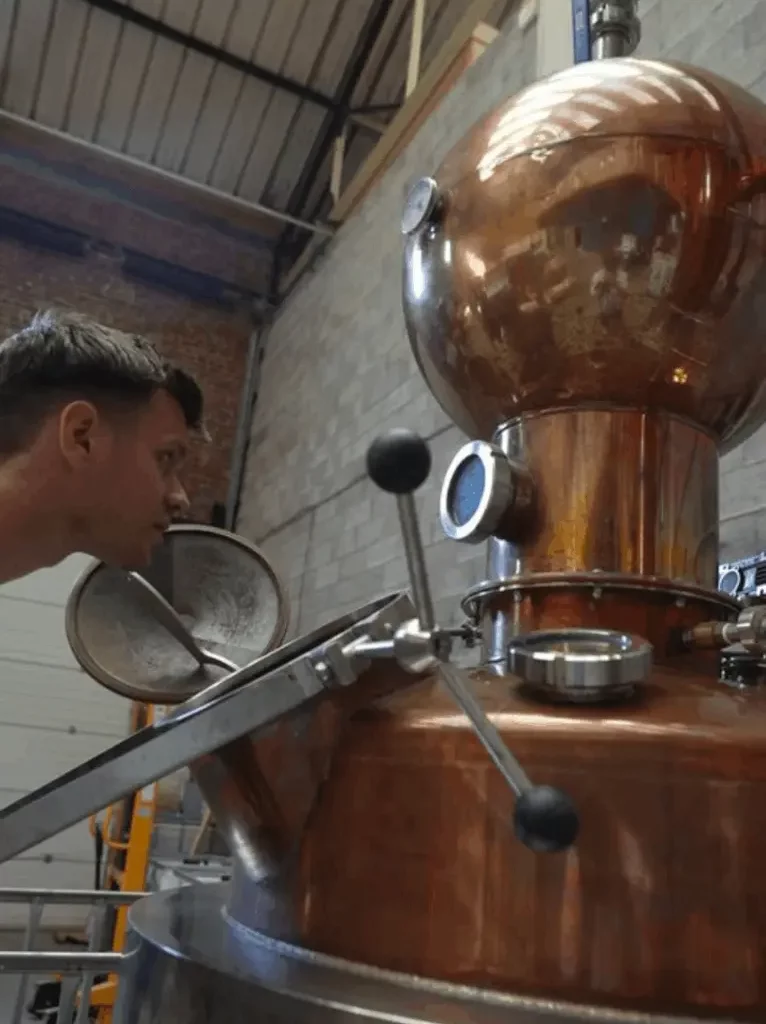 Gin School - Birdie