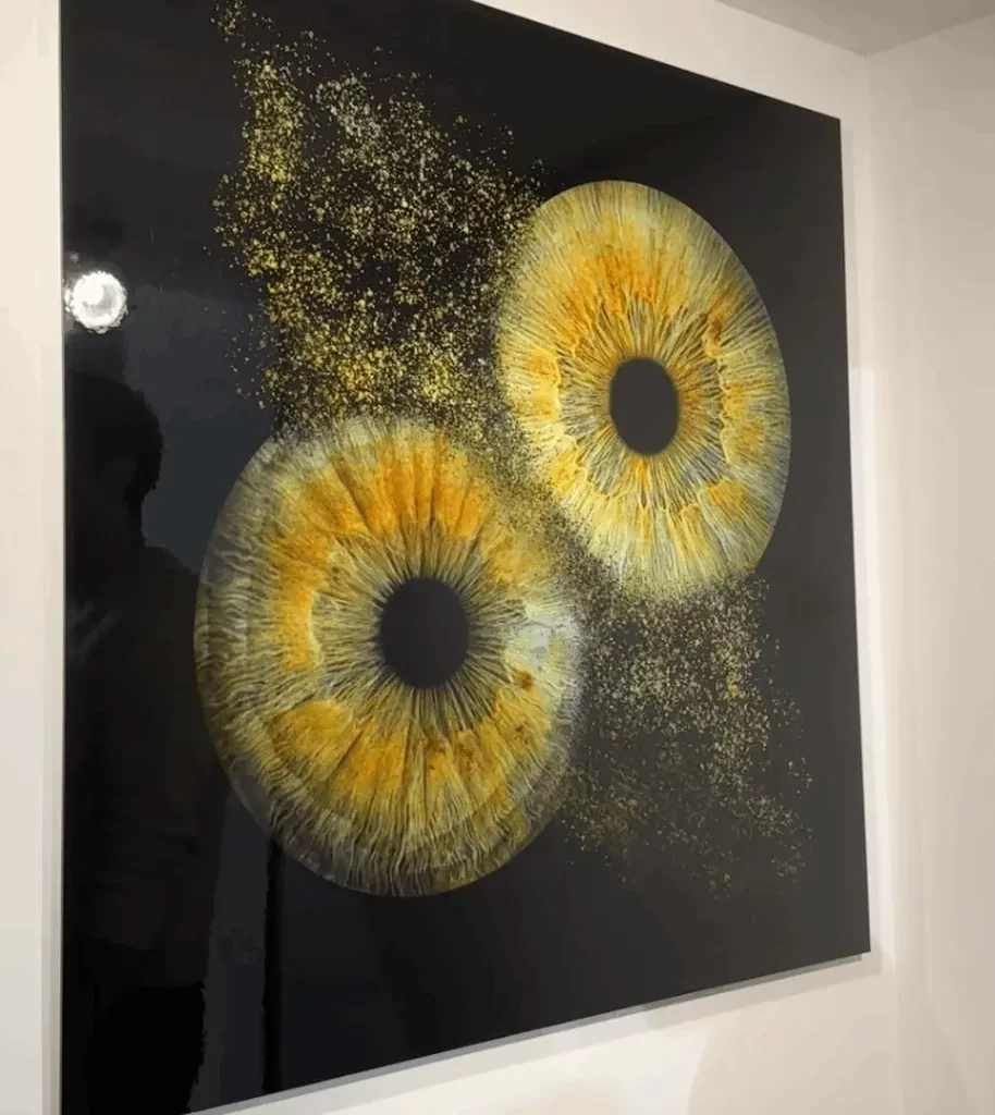 Top insolite Lille Addict - Iris Galerie