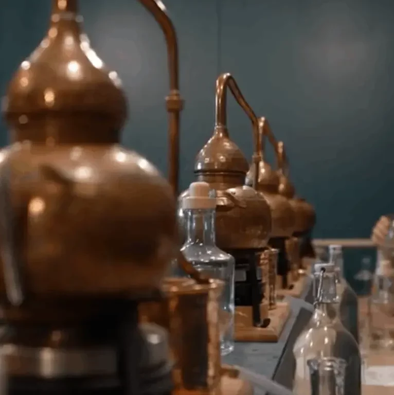 Gin School - Birdie