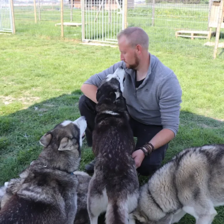 Top insolite Lille Addict - Les Loups de la Vangerie