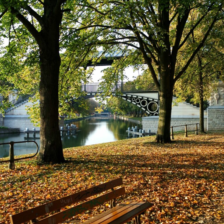 Que faire à Lille et aux alentours du 16 au 20 octobre ?