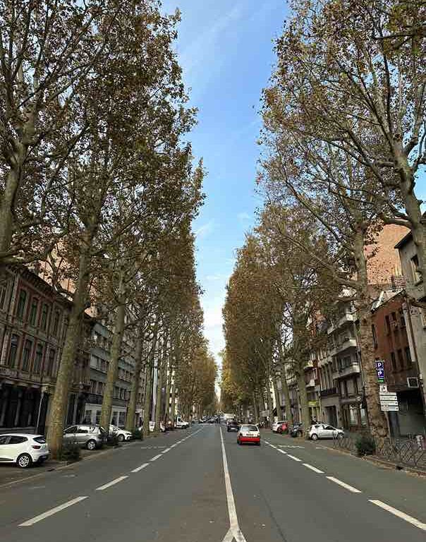 Que faire à Lille en novembre ?