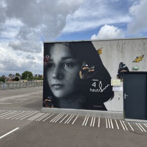 Fresque JDL - Lille Addict