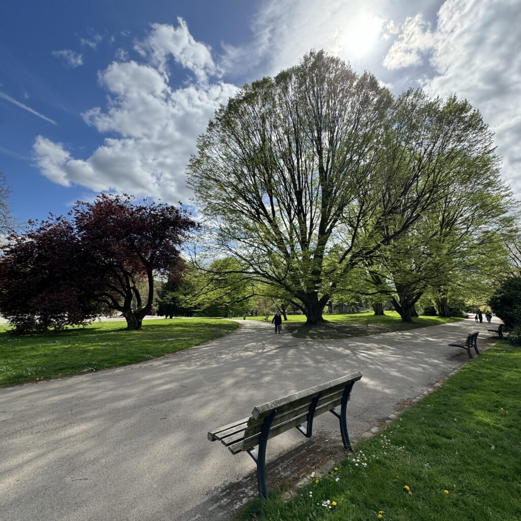 photo 10 04 2024 14 51 49