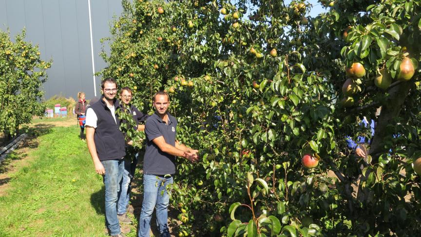 ©fruits des weppes
