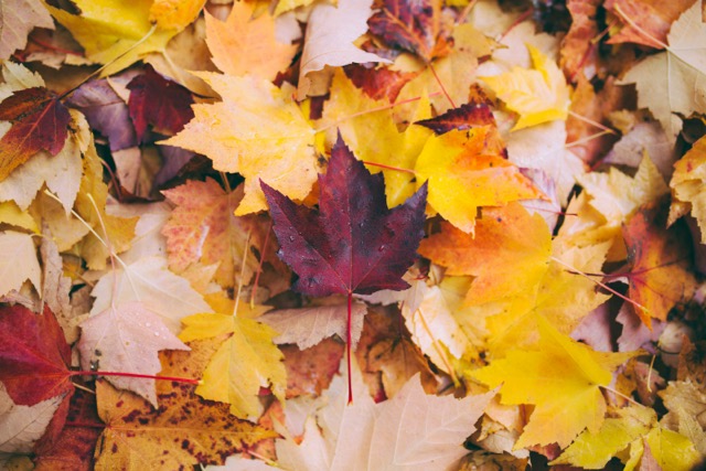 greg shield kac0en1s1h8 unsplash moyenne