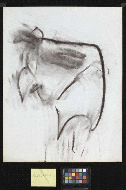 6 eugène leroy, sans titre, 1980 1990, fusain sur papier, muba eugène leroy © florian kleinefenn moyenne