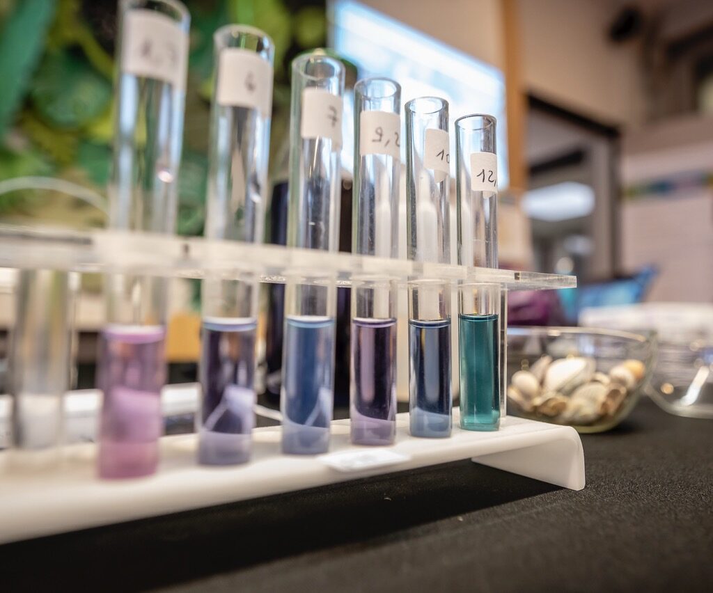 Fête de la science - Université de Lille