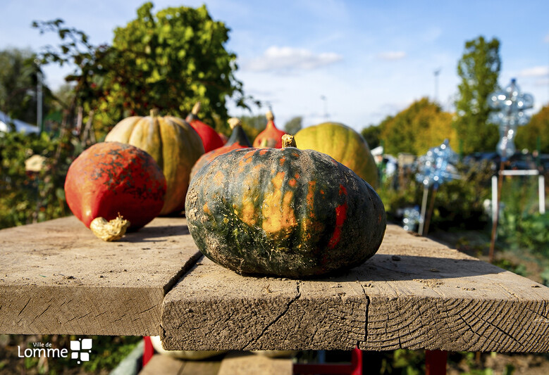 fête de l'automne lomme