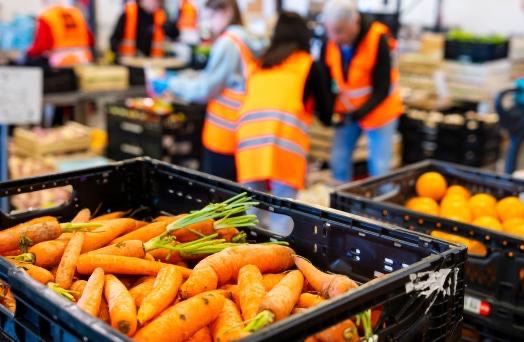 Banque Alimentaire du Nord - Lille Addict