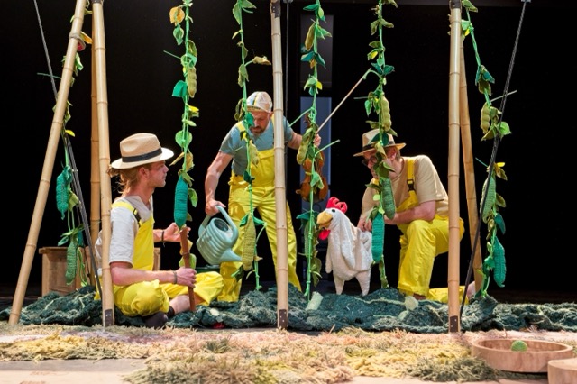 potagumplant aardig9 moyenne