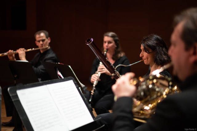 quintette solis © ugo ponte 5 moyenne