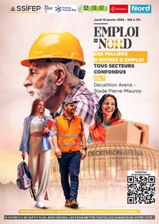 affiche emploiennord moyenne petite