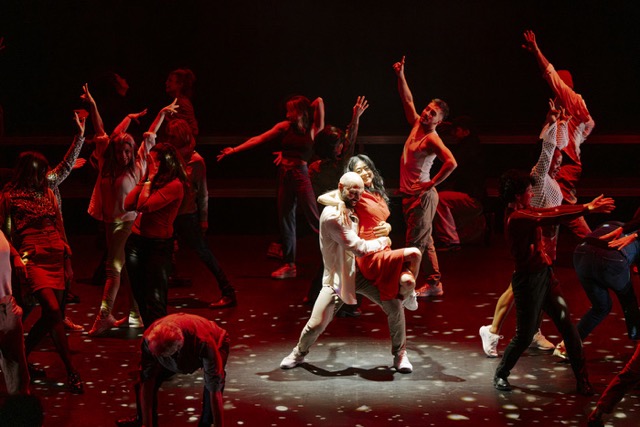 Que faire à Lille et alentours du 19 au 25 janvier 2026 ? Spectacle de danse à la Rose des vents