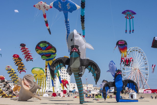 Que faire à Lille et aux alentours en 2026 ? Rencontres internationales de cerfs-volants de Berck-sur-mer