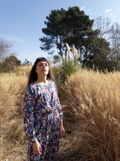 web mesparrow moyenne petite