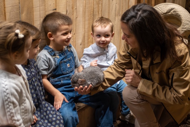 Le Monde de Noé - Lille Addict