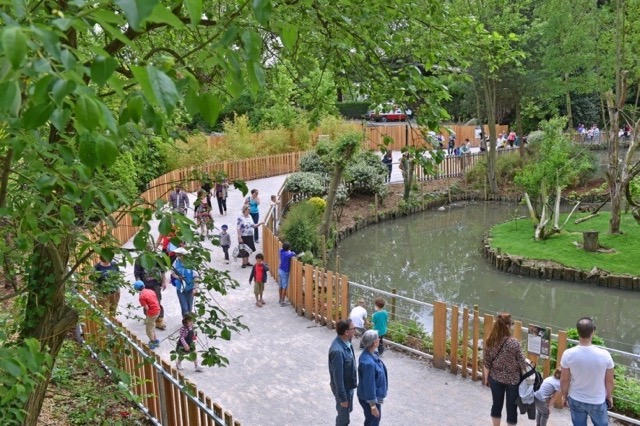 Que faire à Lille et aux alentours du 9 au 15 février ? Réouverture du zoo de Lille