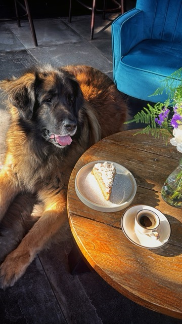 La Passerelle à côté de Lille