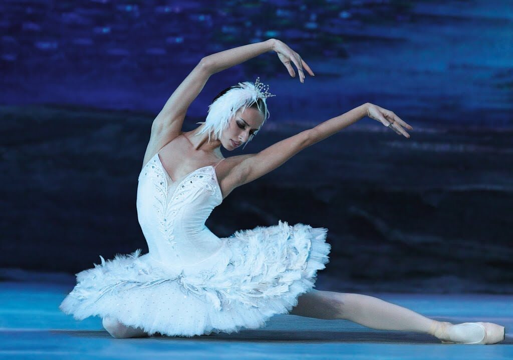 Que faire à Lille et aux alentours en mars ? Le lac des cygnes au Sépastopol de Lille
