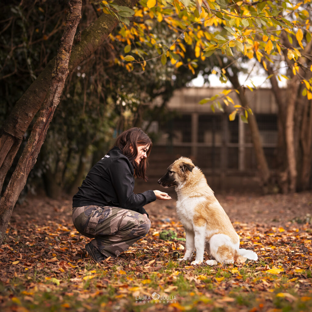 Que faire à Lille et aux alentours en avril ? Refuge animal