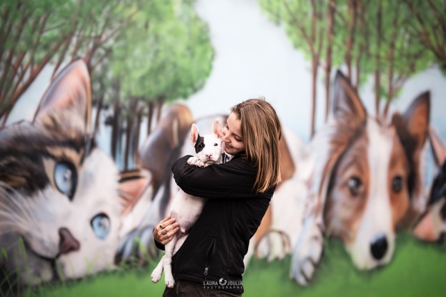 Que faire à Lille et aux alentours en avril ? Refuge animal