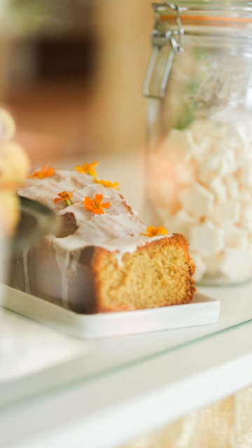 Papote à côté de Lille