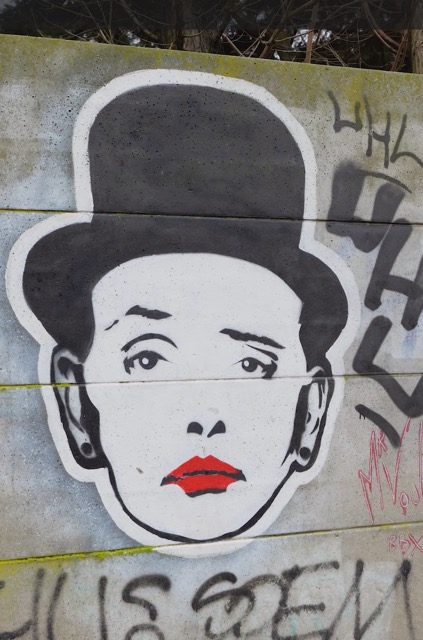 photo mr voul 1 moyenne