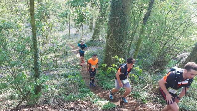 Nord Trail Monts de Flandres, à côté de Lille