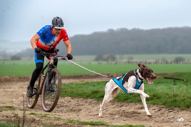 Canicross Club Caudry