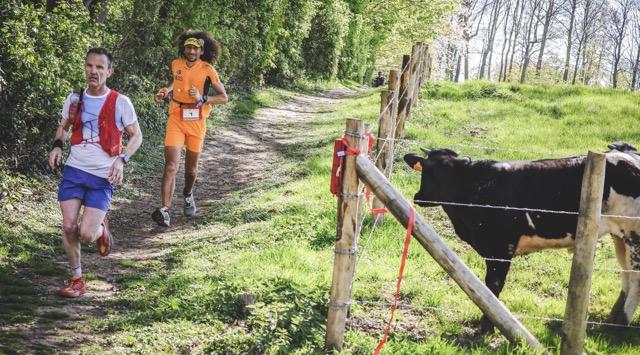 Nord Trail Monts de Flandres, à côté de Lille