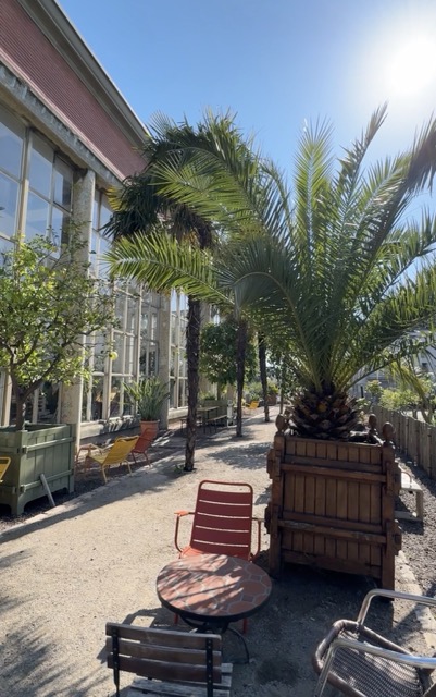 L'Orangerie, au Jardin des Plantes, à Lille