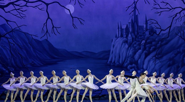 Le lac des cygnes à Lille