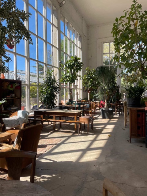 L'Orangerie à Lille