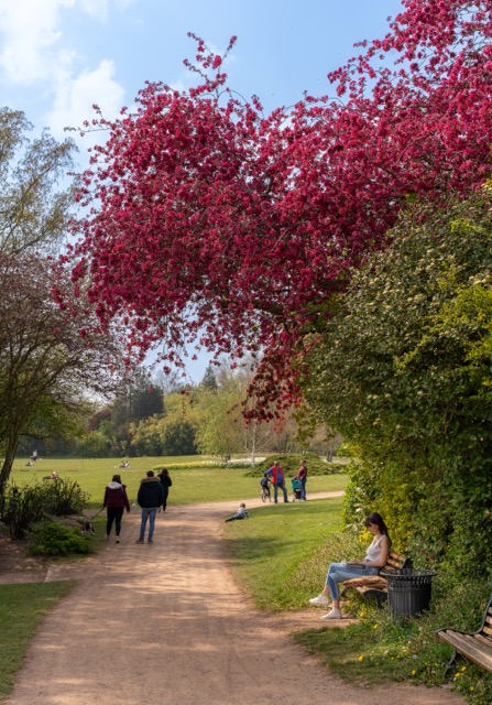 Le Jardin des Plantes à Lille