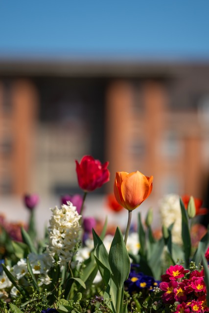 Le Jardin des Plantes à Lille