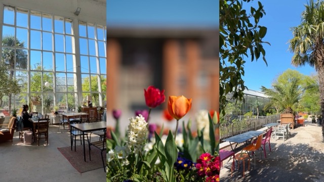L'Orangerie au Jardin des Plantes, à Lille