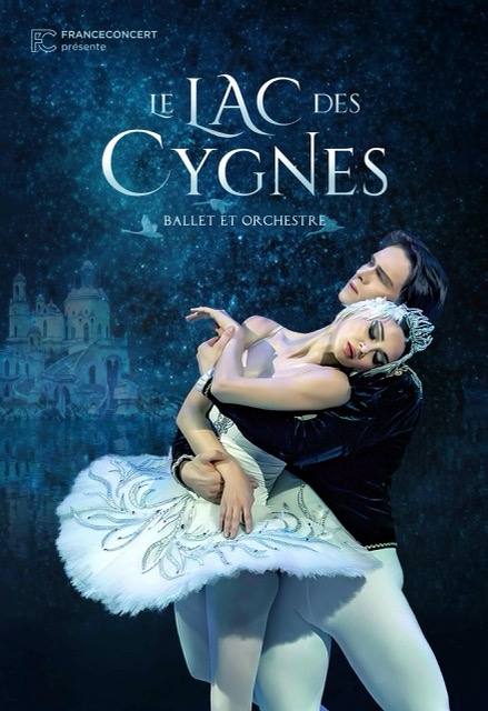 Le lac des cygnes à Lille