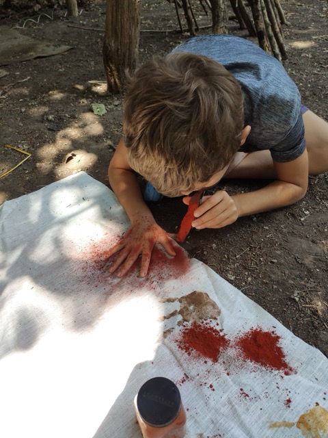 Que faire à Lille et aux alentours du 13 au 19 avril ? parc asnapio Villeneuve d'Ascq