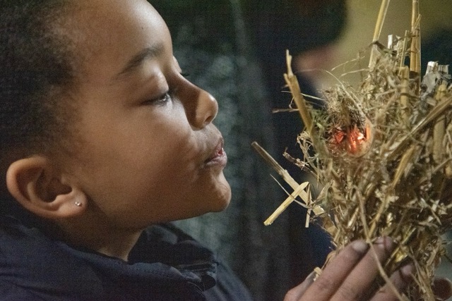 Que faire à Lille et aux alentours du 13 au 19 avril ? parc asnapio Villeneuve d'Ascq