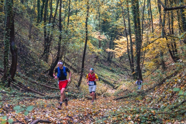 Grand Trail Nocturne des Hauts-de-France, à côté de Lille