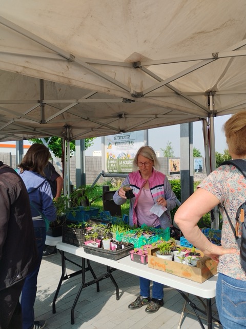 Troc de Plantes à Roncq