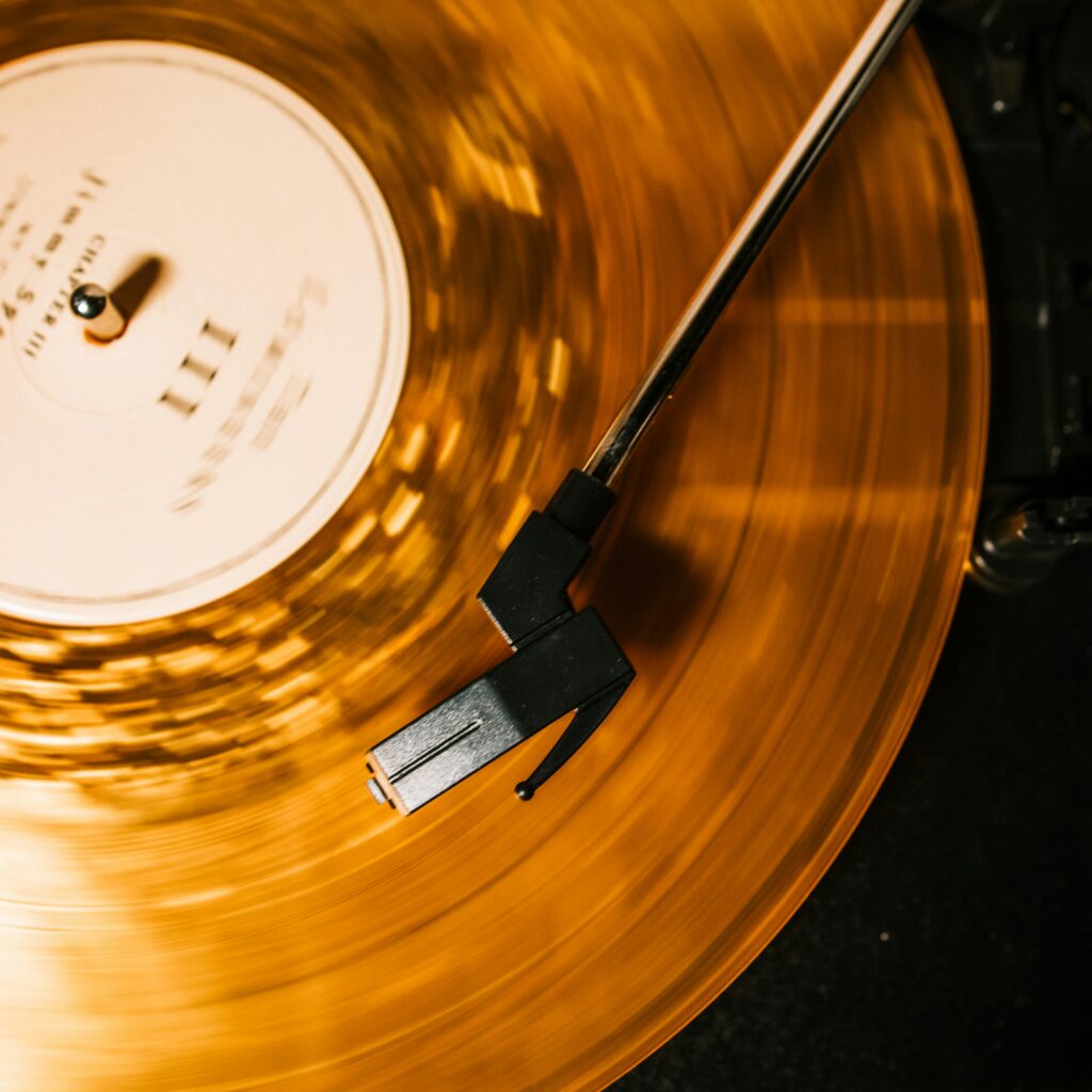 vinyle maloot lille